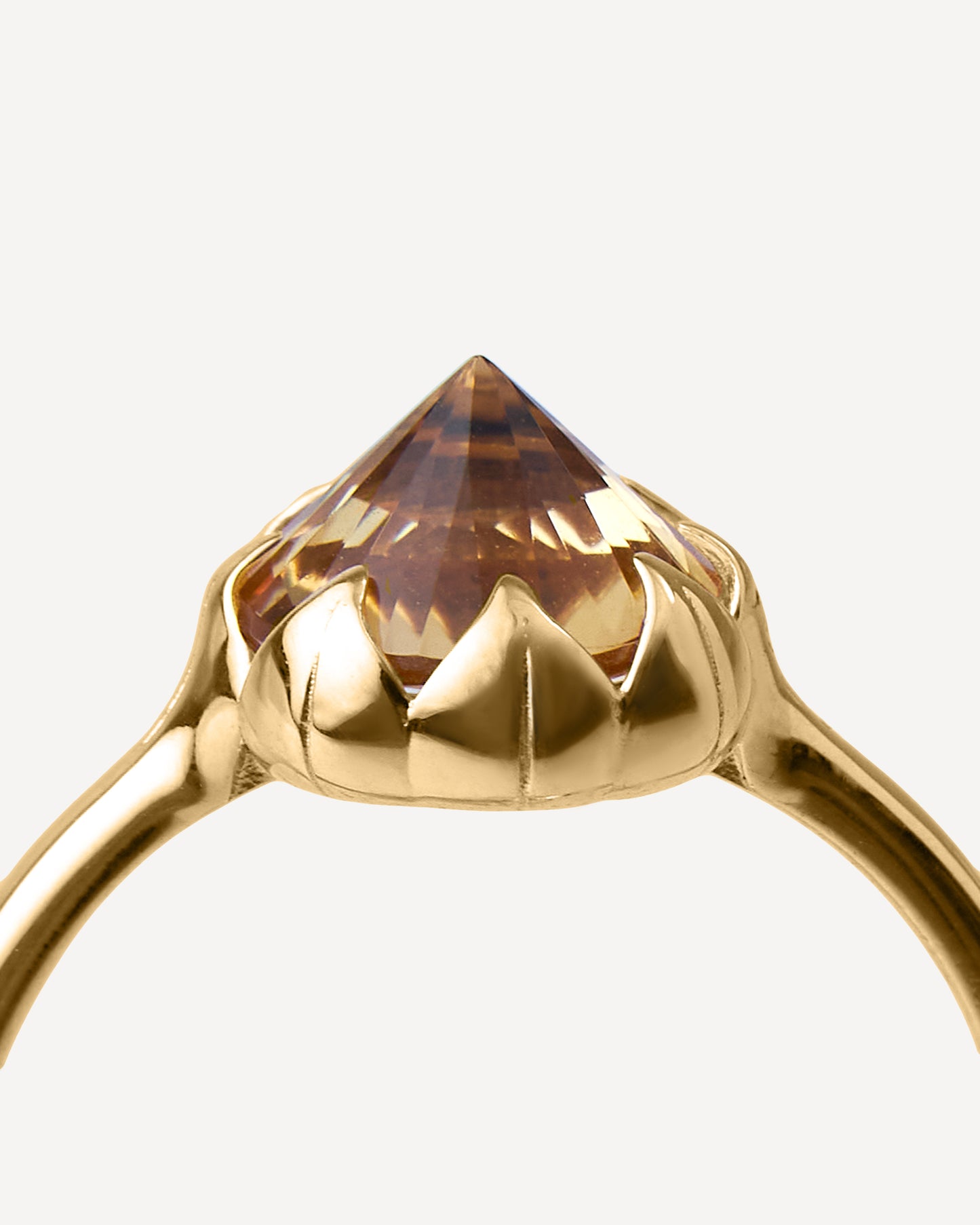 Anel Protea em ouro 18k e Citrino Grande