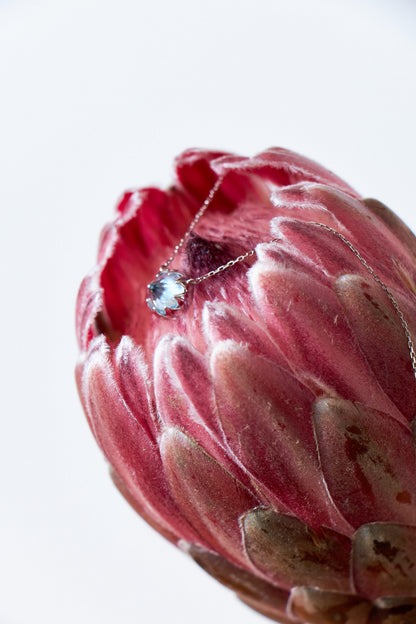 Colar Protea em Ouro Branco 18k e Topázio Sky